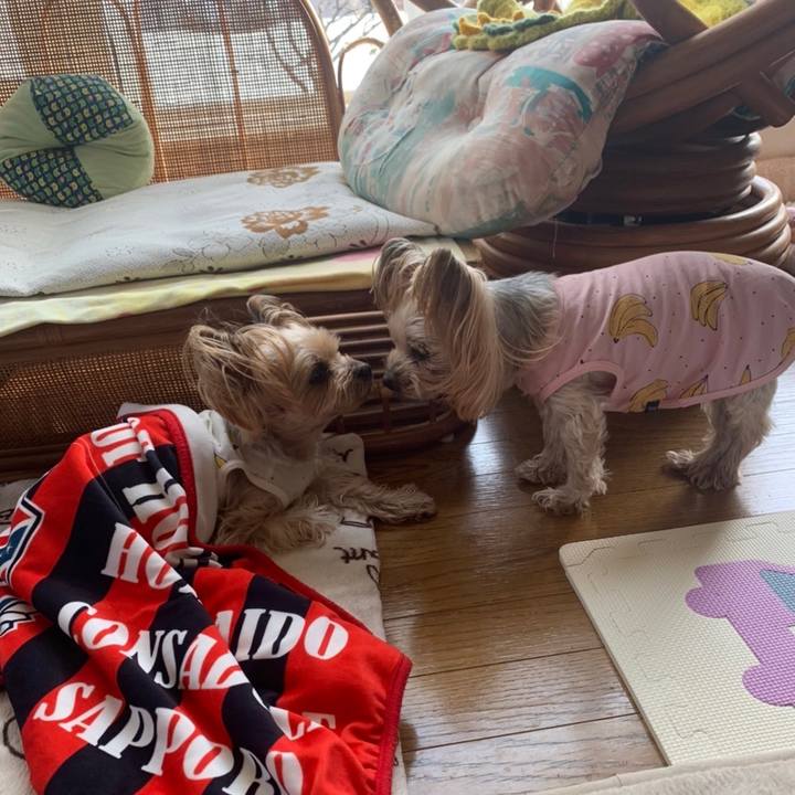 95953201 2fb2 4cb0 a9c1 85281be18ca4 1649933507510