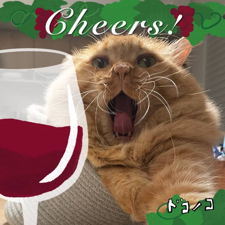 95954e6c 9580 4fd2 b1c3 25a31eec8998 1761122926716