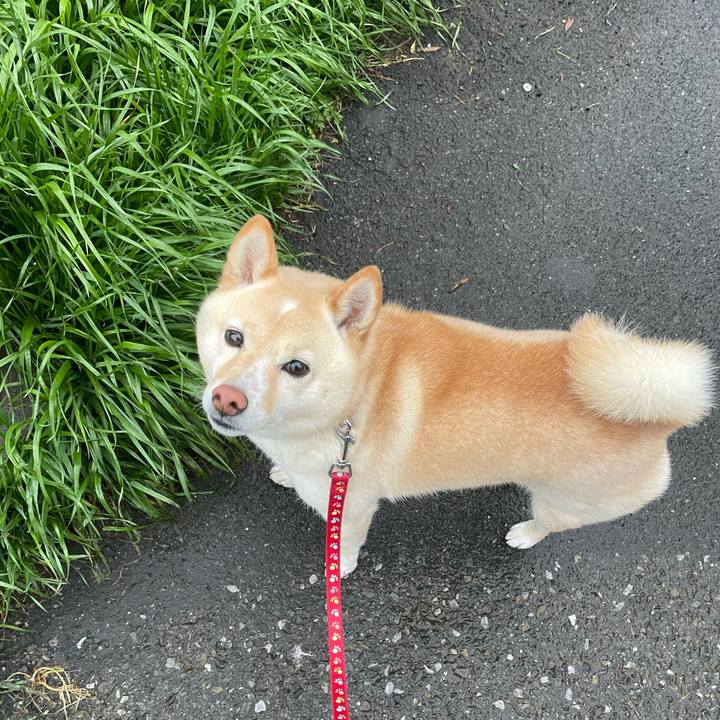 959579cc ae3b 48b6 a10a bfe5971f663e 1679743722555