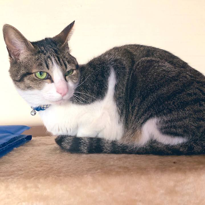 959587b3 321f 4280 a28d 43ad15f3a2b5 1558513825619