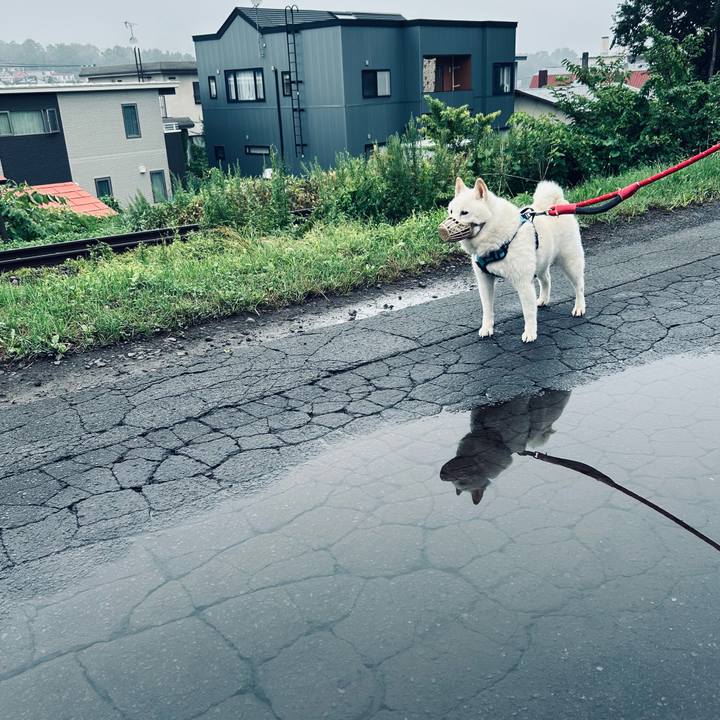 95959ffa 8046 4b2c b648 ccc9fc0e93a0 1753738219589