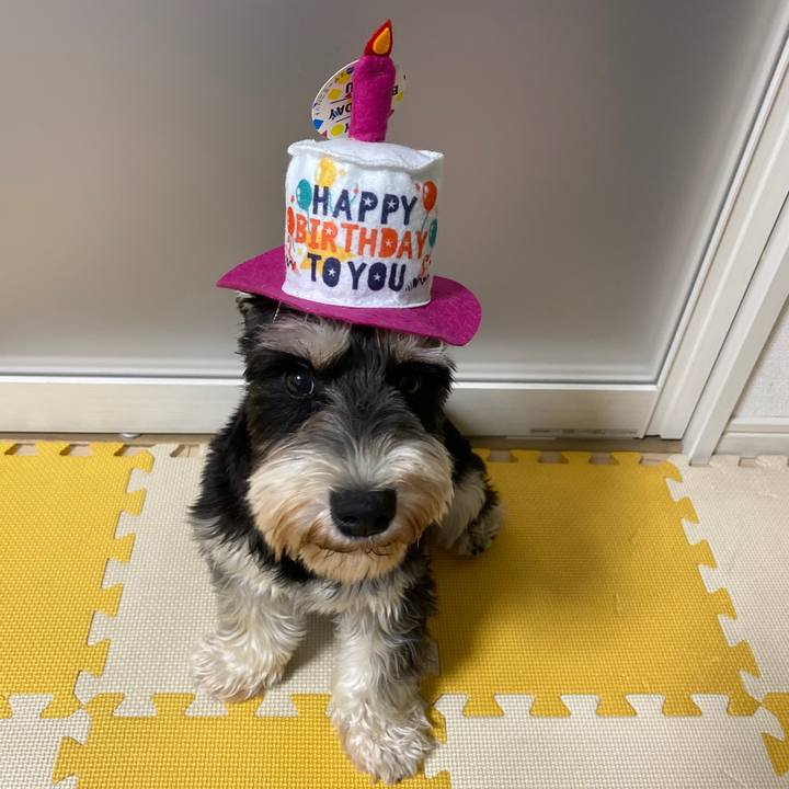 9595c4f3 628d 4b9e b913 fb755e5c0eba 1571146754841