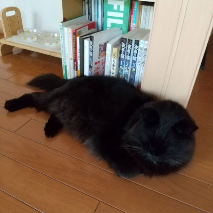 9595ddfa 5769 44b2 b05c 9a4f65ca12a6 1588579283810