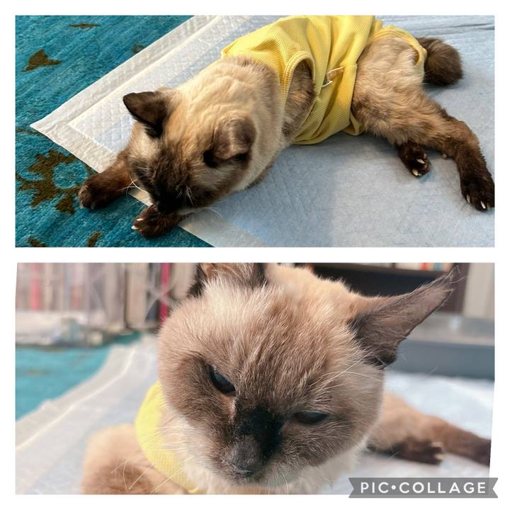 9595eabf 3c39 438c ad39 ffc953b0ff40 1719894161155