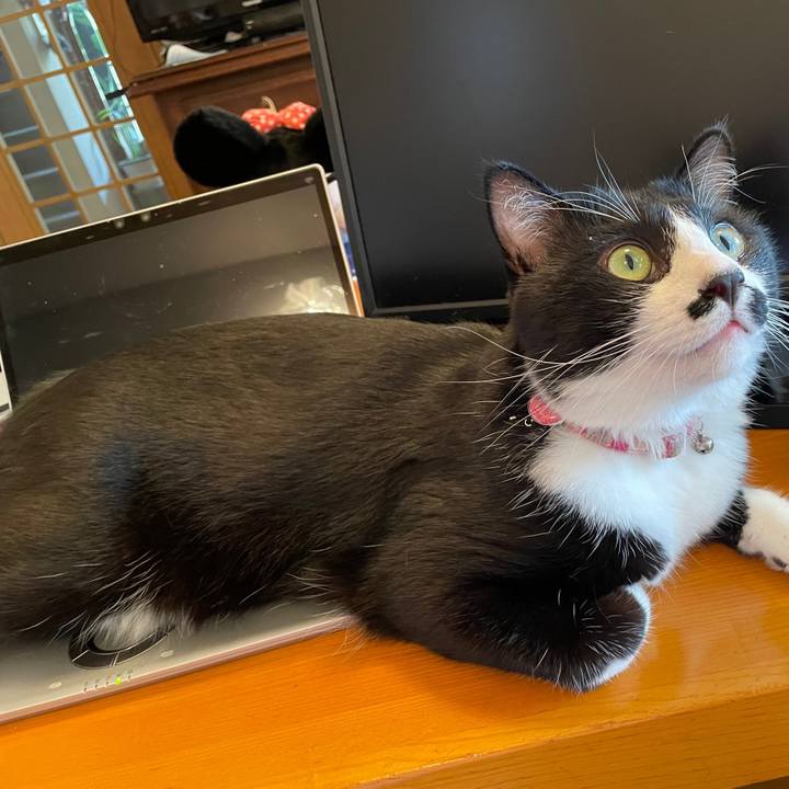 9595ecc1 5cb3 45ad a379 a6787e2c126f 1657022205560