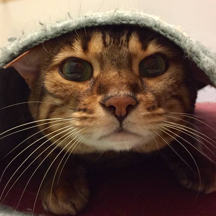 9595fb93 897d 42b8 827b 7156d4c25721 1544392293973