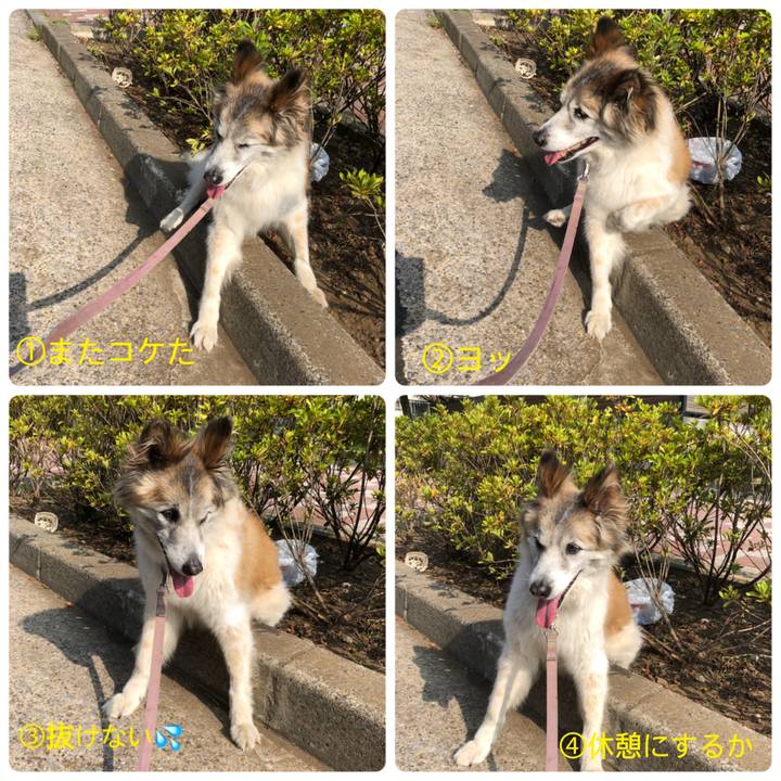 95962bd1 3429 4efc b7ca 5589dd8faa3d 1532043652205