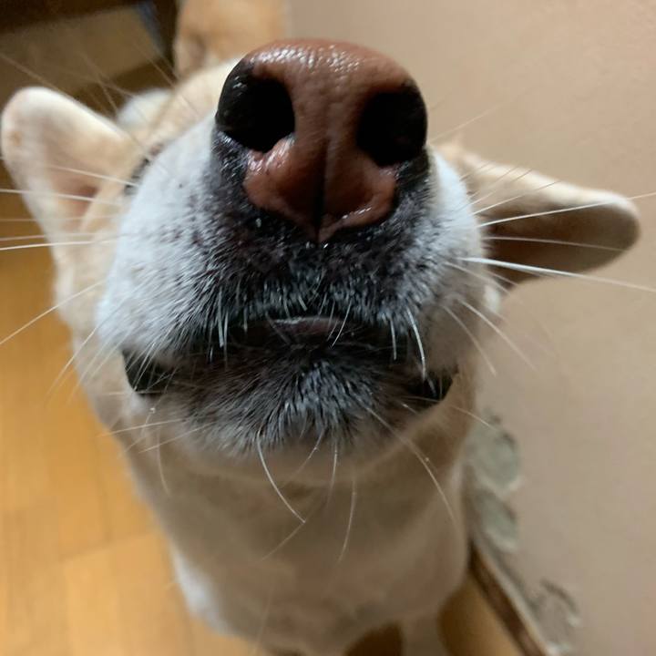 959652a3 7e8b 46cb 915c ddc36c83cd15 1574940052529