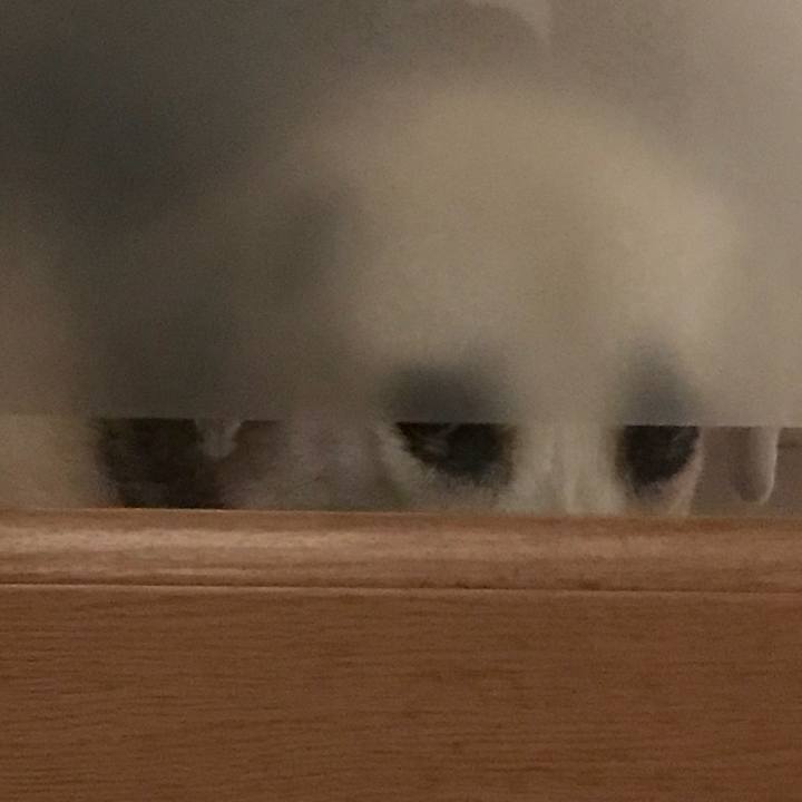 959664be f586 494a a3b5 2af3120e2048 1539871734291