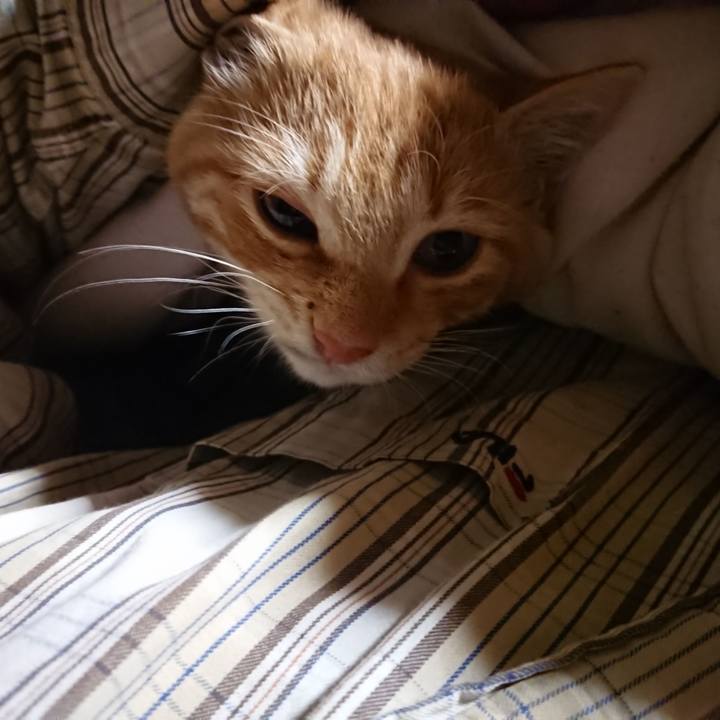 9596759f e5f2 4912 8d48 05a73952f387 1635108076143