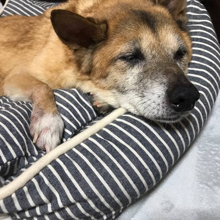 959681b5 eab4 44e7 9f62 6bb1593fe1f9 1568608052025