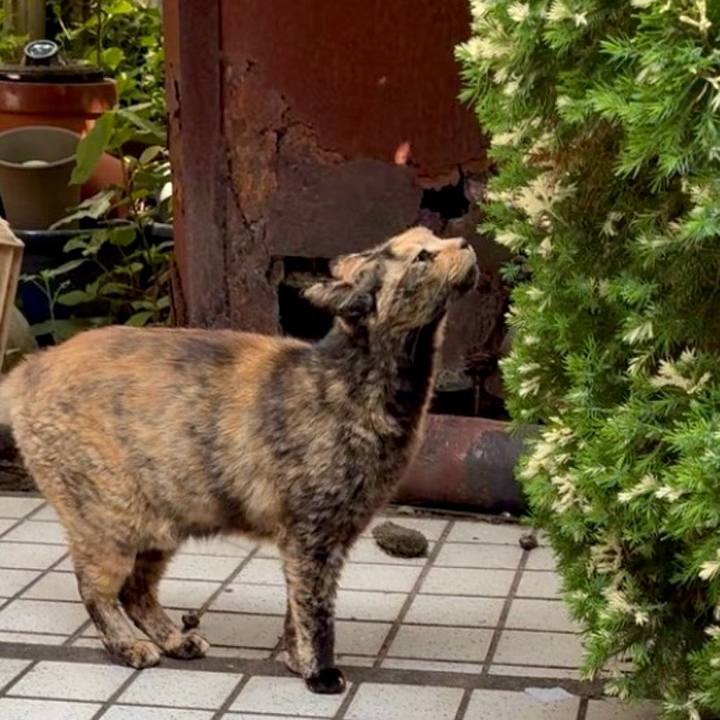 9596958a 6da2 4e25 af77 499810c05920 1748661476685