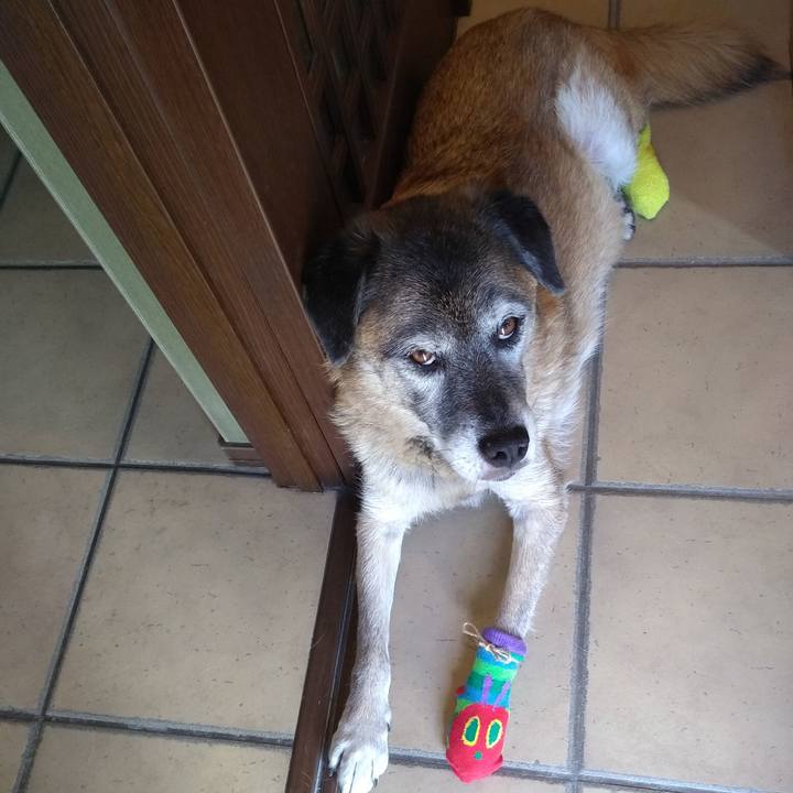 9596a0a3 a35e 4eaa bcec 61609a62f8b7 1568955890779