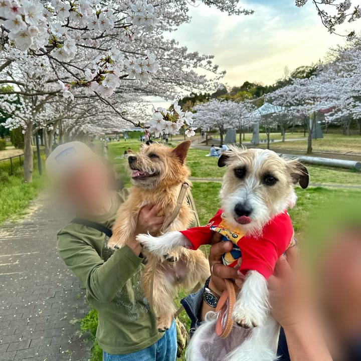 9596c884 f3fe 441f 88a2 136f0477d9f3 1712500188101