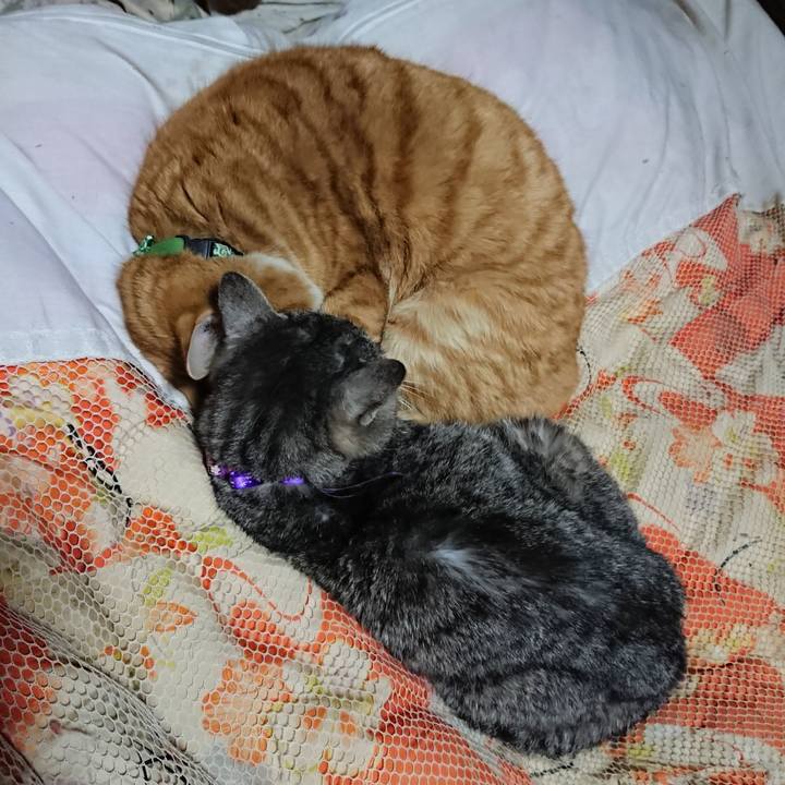 9596e58a c7d2 4a23 8b4c a132a06366c7 1581341411231