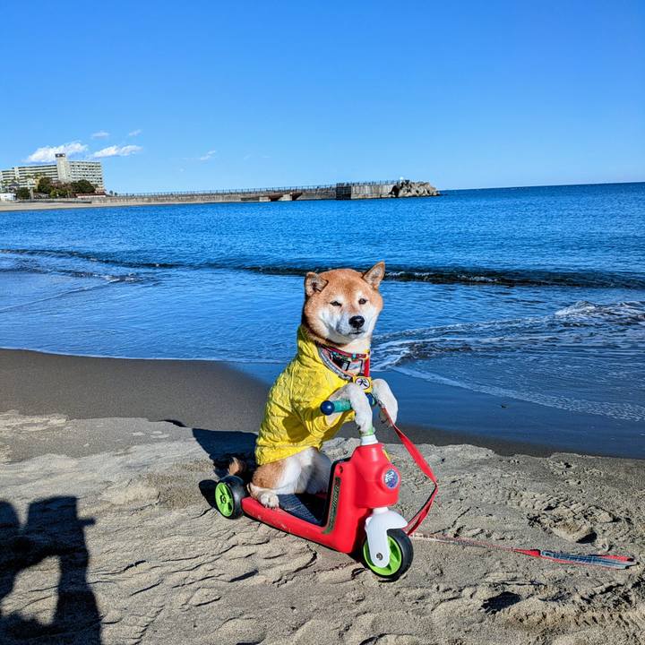 959719ed 4a51 4715 ad9d 0fa694bf6f3f 1766117993441