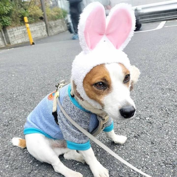 95971a8c d814 4935 8725 e6cae8e90f4e 1764400968405