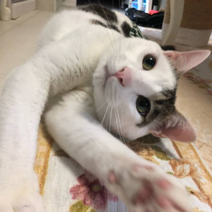 959727c5 47c1 4169 bac2 f18b9ab469bd 1530148279508