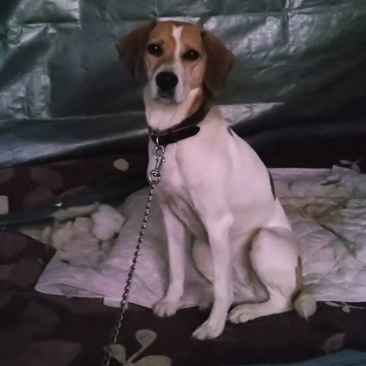 959745f0 35fd 45c4 a337 3e12ba01c6df 1638087303539