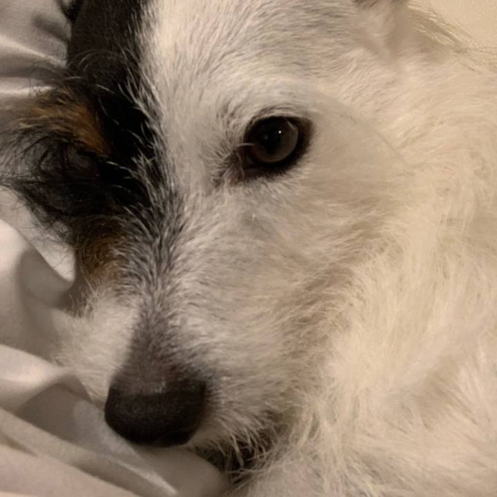 95978e22 fff2 45c2 b994 79509c9209b2 1594991983014