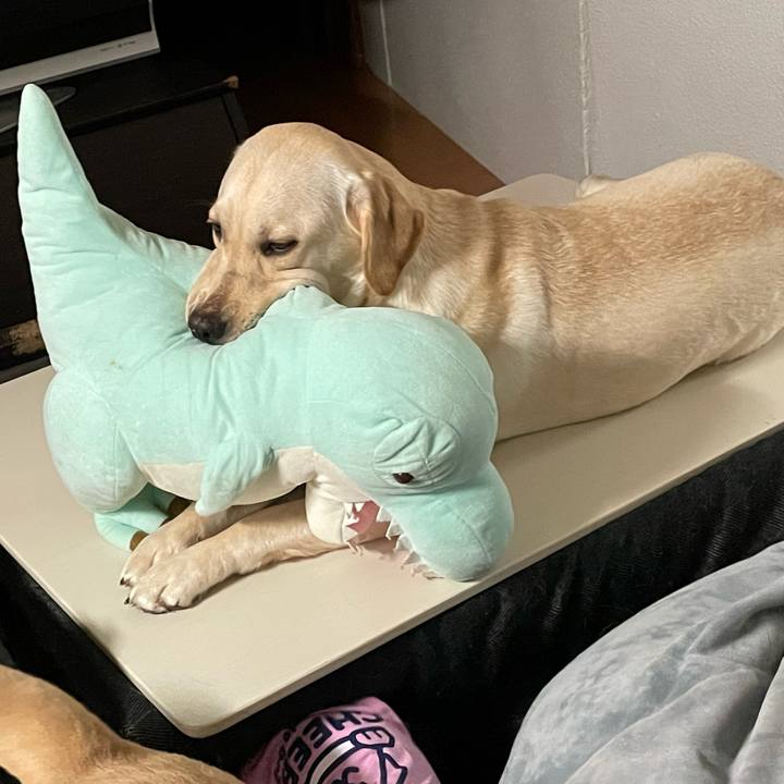 959791b3 72ec 4dbc 8487 dfd5acf68da1 1641516767935