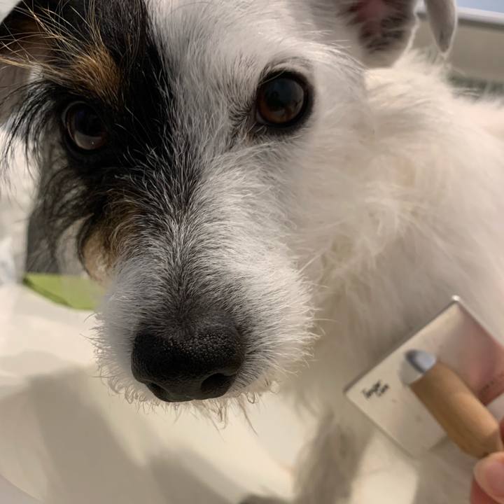 9597aa34 02a1 4004 a43f 46ac647df1ba 1619486663839