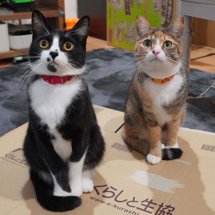 9597cb74 3e17 437f 8f2b 16a5d6d081bb 1614769577812