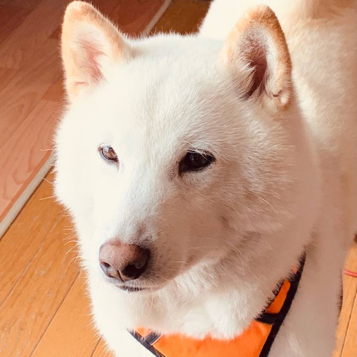 9597cf43 737f 4367 adad 288b6100d358 1615870948334