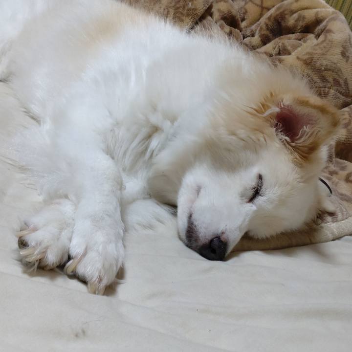 95980e55 00b4 4ac9 897d f5857852104a 1664328942945