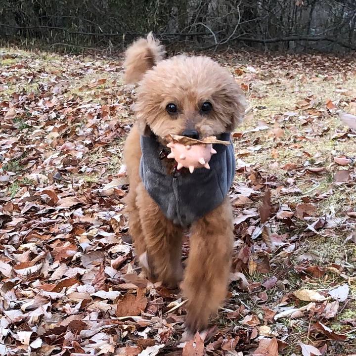 9598b314 501a 430e a055 775034e1974c 1579649300537