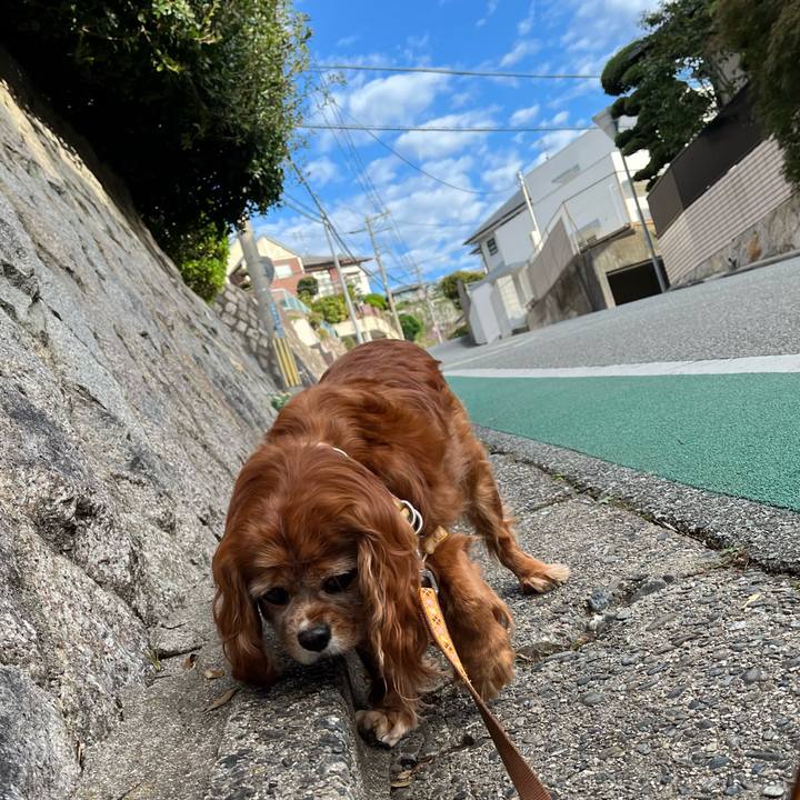 9598bf49 fd13 42e6 8bf4 ff366b070f5e 1761353599332