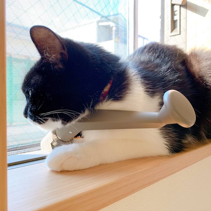 9598e2fb 601d 4cb8 90d6 8dc29e60a93e 1562297019201