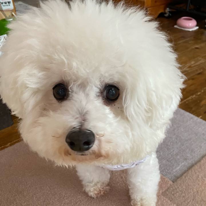 9599065e 2912 43b5 a469 d2d7f2a33400 1688608306570