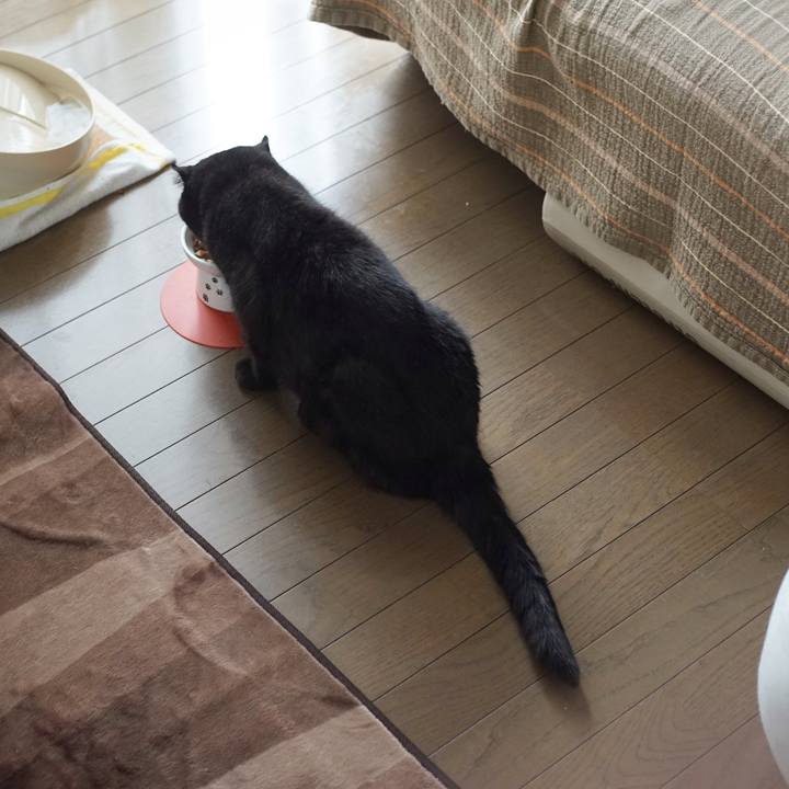 95991467 da4e 4ce0 96a0 0b9d24f3e01b 1595493931658