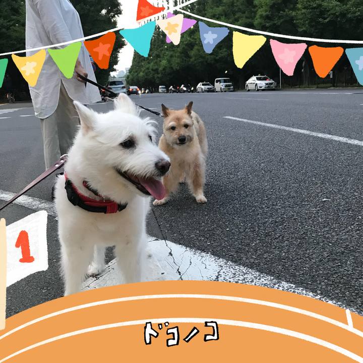 95993363 e0df 461f bfd8 7750fced2939 1761107496214