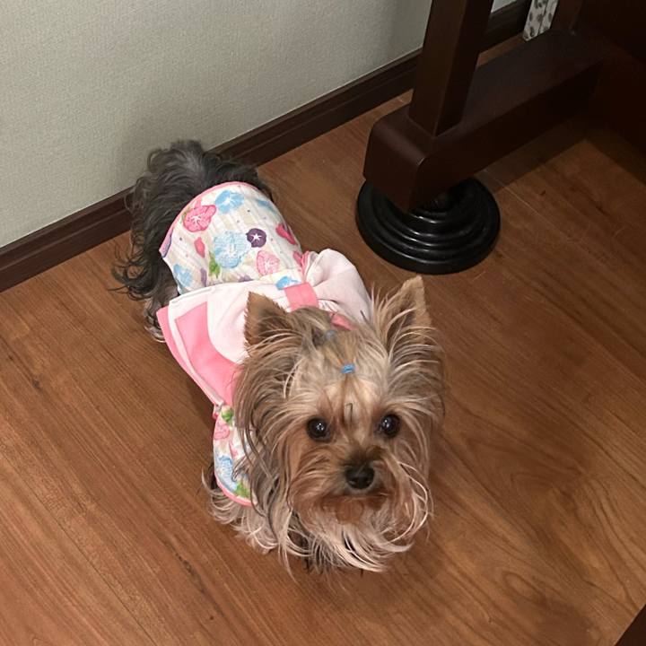 95993ec4 2acb 4411 89bd e9abbead296e 1722140277780