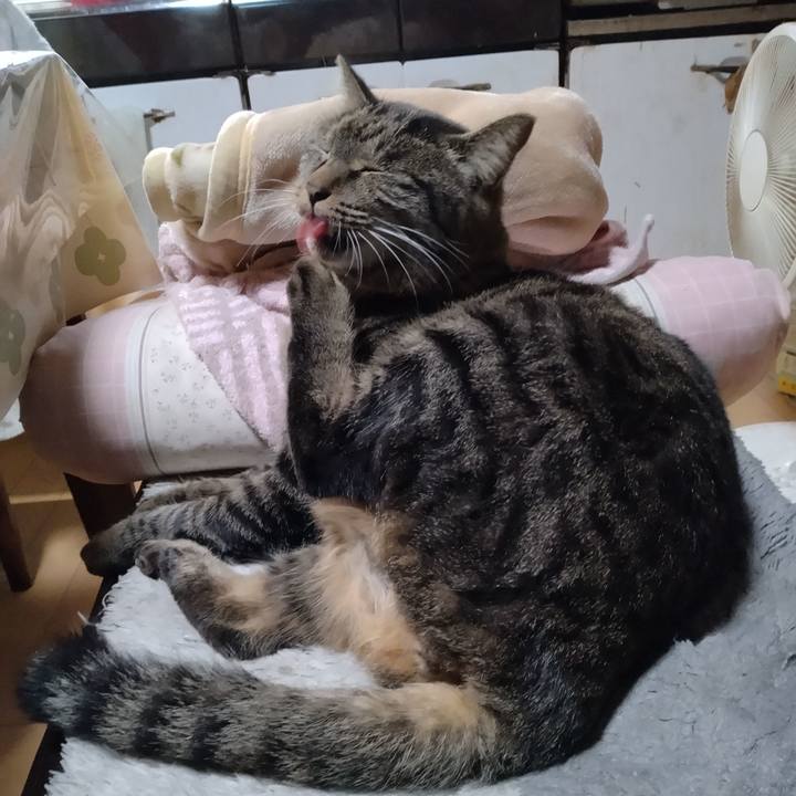 9599a44e 09dd 4d10 9c58 9b8ab4647289 1670284219254