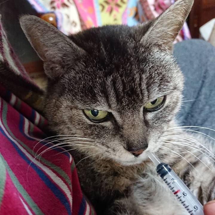 959a20bb 2b09 457c a122 58492c4e27c3 1584834568022