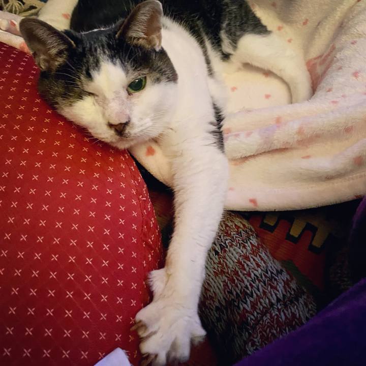 959a566f 0cb9 48a3 bfd5 7a95903a7002 1639825810586