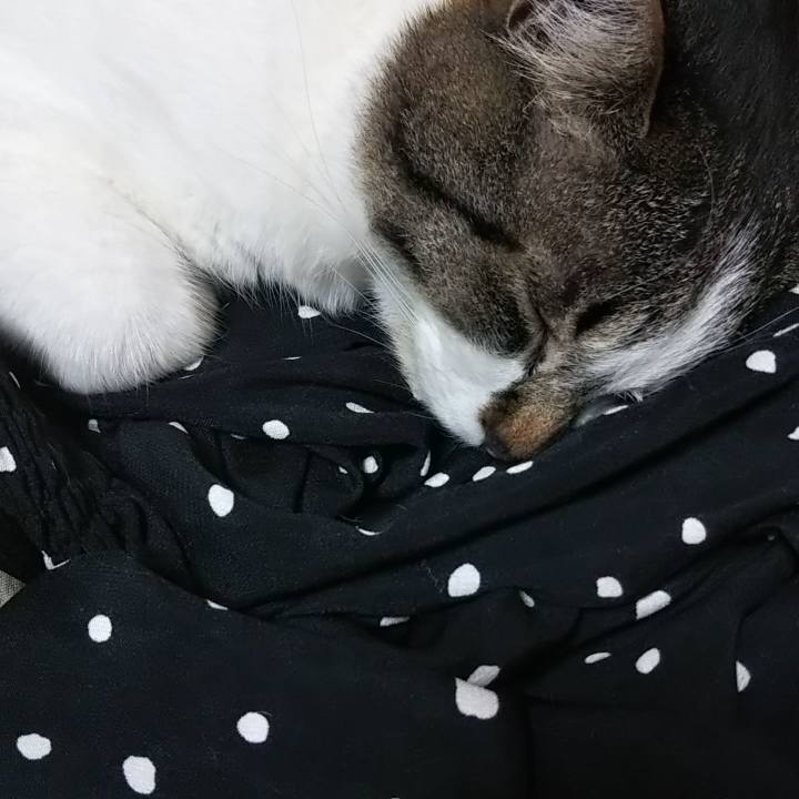 959a7a34 99f9 492f b70a 6bcfa4a28b1d 1621595564562