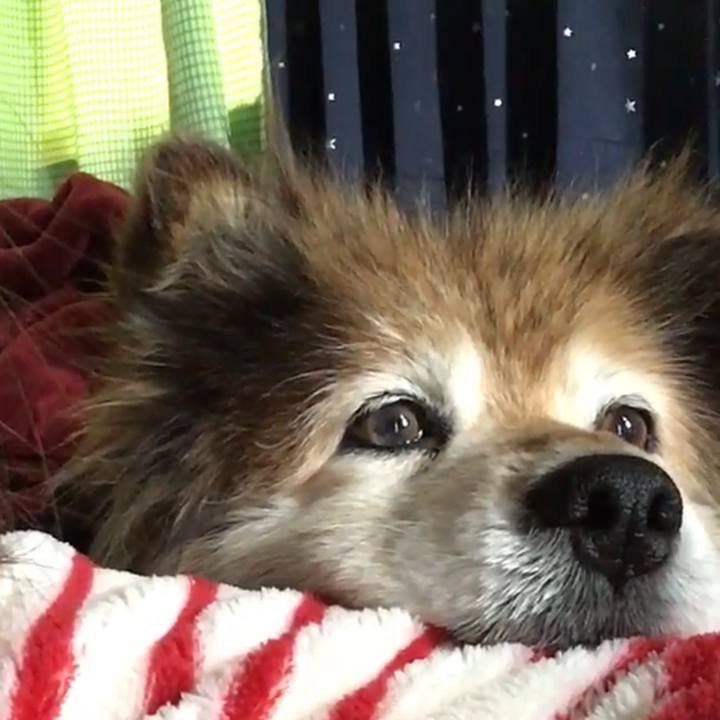 959ad933 cb89 4e0c 9c93 e6a8e3b1bdf9 1641124261089