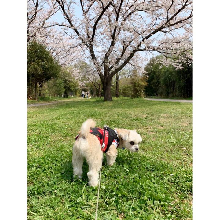 959afe54 5a6b 4c67 878f cd3eac85530a 1554625303576