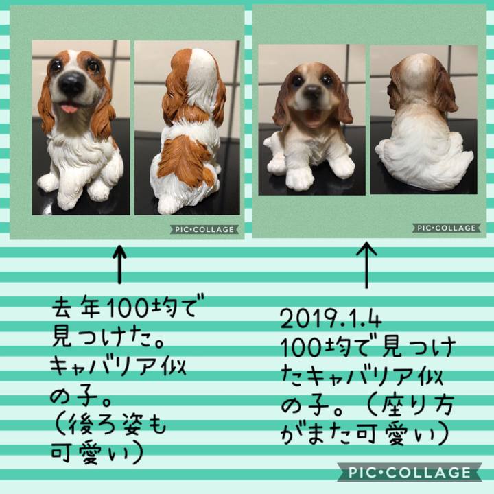 959b12fe b7f7 4e82 a7d0 d1350b4a518d 1546653962019