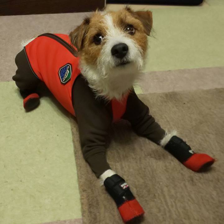 959b2d01 0b68 462b add0 63f86dca6390 1574499857989