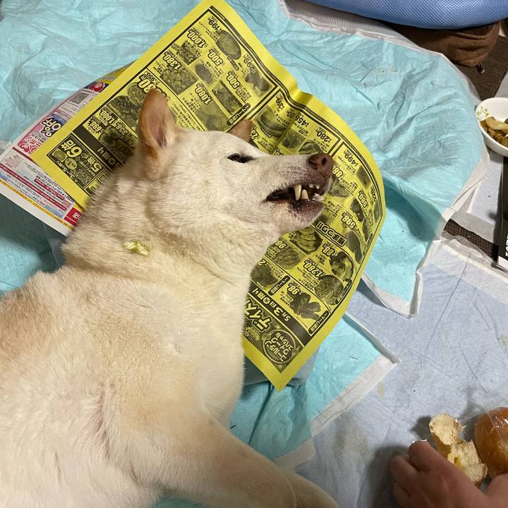 959b69cc ed82 446b 9773 c8ad48a7558c 1651586282934