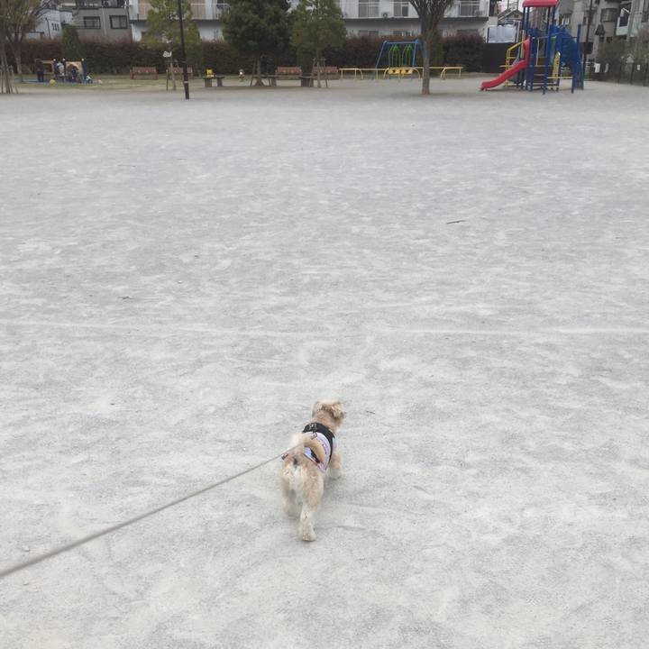 959b6fe7 42ef 4872 8943 1184f56e432a 1553927664366