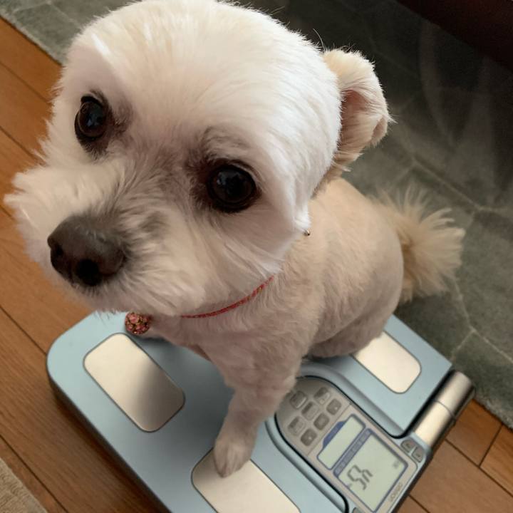 959bb4e5 65bd 4e36 8e0a 4d4f00be0c56 1617164704636