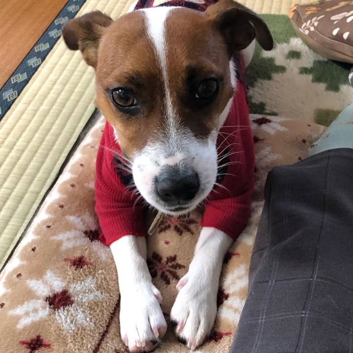 959c0545 18f9 43d2 8f37 9841bfca39a3 1548802416758