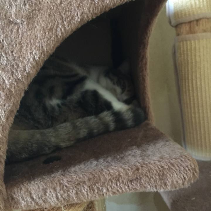 959c2e7b 0917 4011 a860 4c95da6026ea 1654061545198