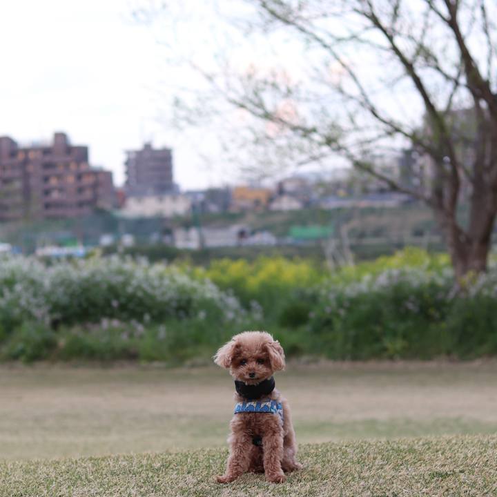 959c7b62 c1e5 43aa b786 196138ed164d 1554128581450